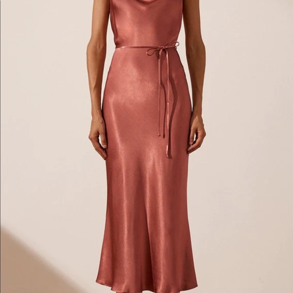 Shona Joy Dresses & Skirts - Shona Joy midi size 8 never worn bridesmaid dress